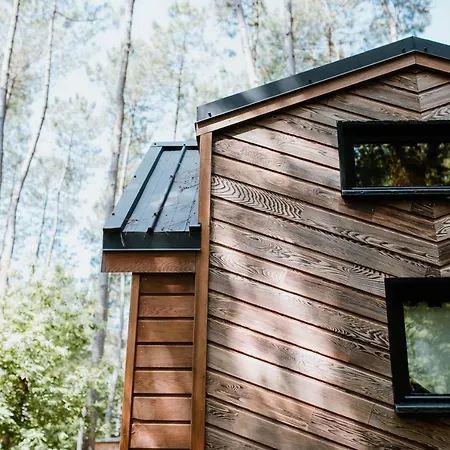 Tiny - Lodge *