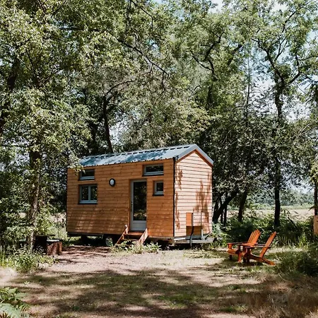 Lodge Tiny -