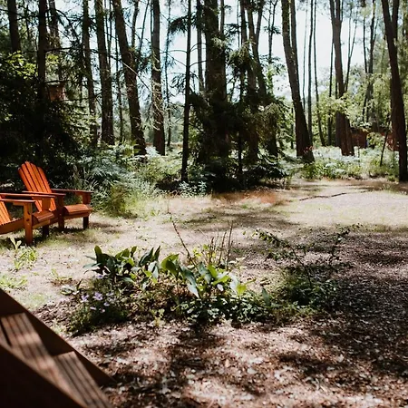 Tiny - Lodge