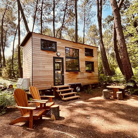 Lodge Tiny - *