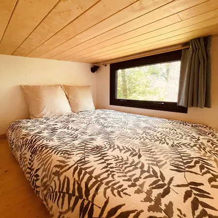 Tiny - Lodge