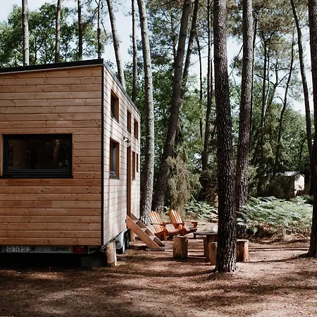 Tiny - Lodge