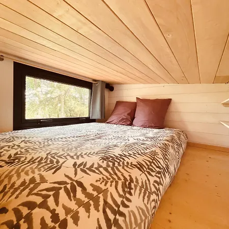 Tiny - Lodge