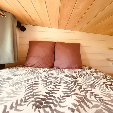 Lodge Tiny - *