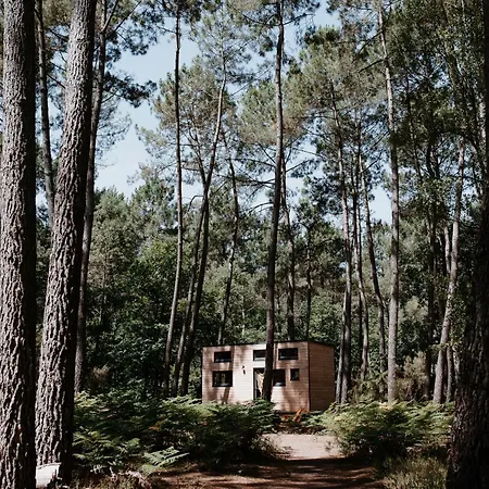 Tiny - Lodge