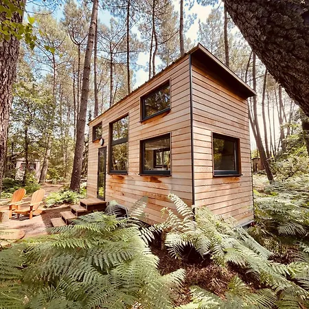 Lodge Tiny - *