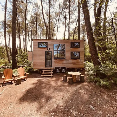 Tiny - Lodge