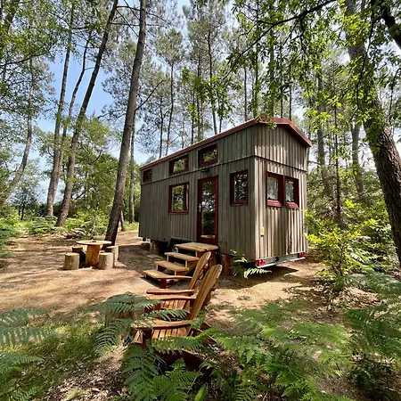 Lodge Tiny - *