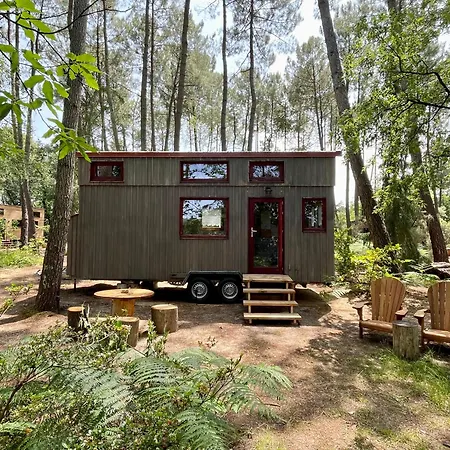 Tiny - Lodge
