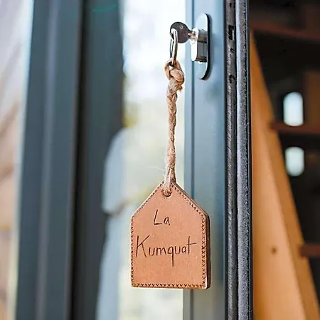 Lodge Tiny - *