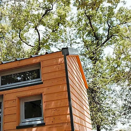 Lodge Tiny - *