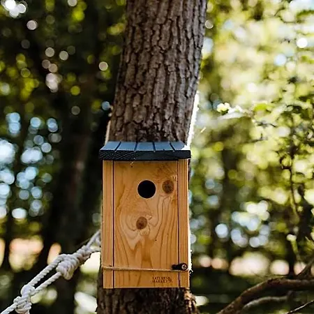 Tiny - Lodge