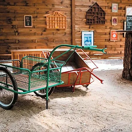 Tiny - Lodge