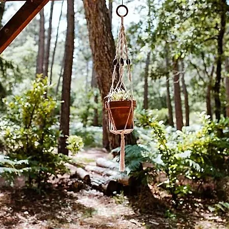 Tiny - Lodge