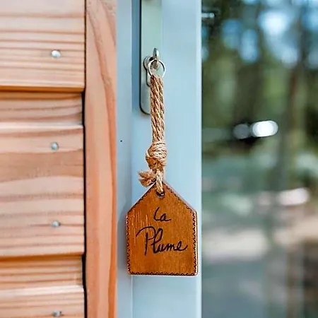 Lodge Tiny -