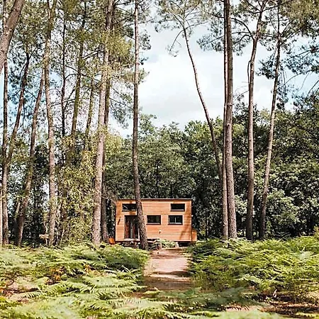 Tiny - Lodge