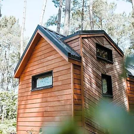 Lodge Tiny - *