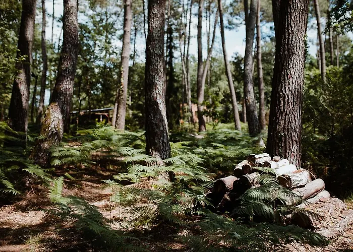 ロッジ Tiny - Clefs